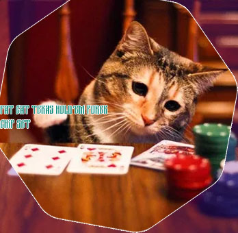 Fat cat poker