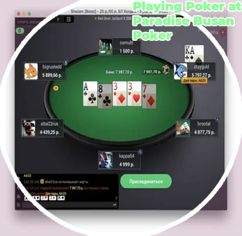Paradise poker room